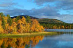 Rivages du lac Jeris en automne -Laponie