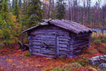 Cabane dans la forêt boréale-Laponie