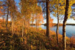 Rivages du lac Ounas en automne -Laponie