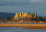 Rivages du lac Pöntsö en automne -Laponie