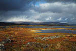 Paysage d'automne au bord du Vassijaure