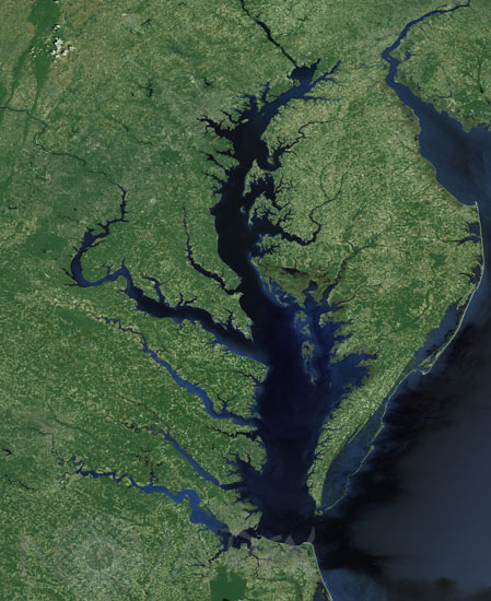 Chesapeake Bay seen from space