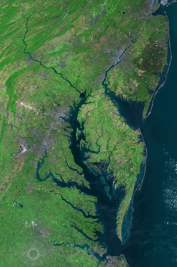 Baie de Chesapeake -USA