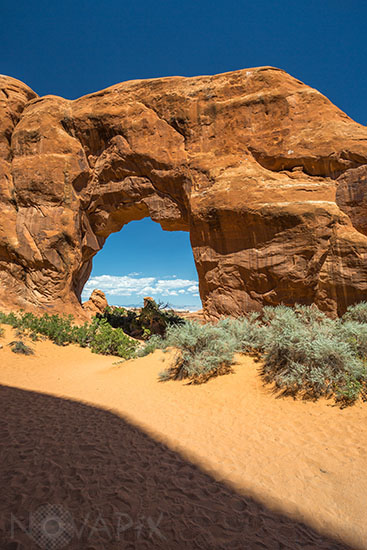 Pine Tree Arch - Arches National Park - Utah