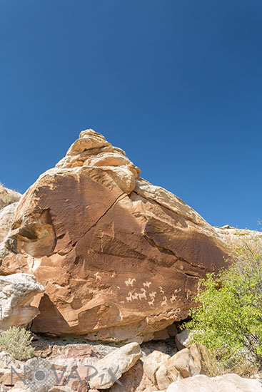 Petroglyphs in Arches National Park