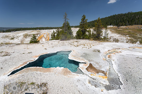 Blue Star Spring - Yellowstone National Park