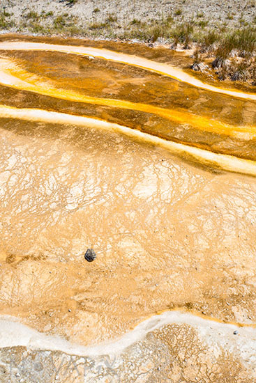 Yellowstone 