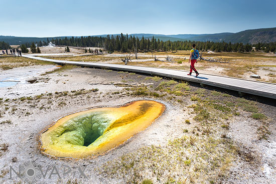 Belgian Pool - Yellowstone National Park
