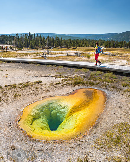 Belgian Pool - Yellowstone National Park