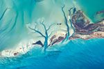Sandy Cay - Bahamas 