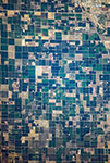 Agriculture en Californie - Juillet 2019