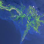 Delta du Mississippi, Louisiane, fausses couleurs vu par satellite Terra