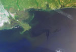 Pollution dans le Golfe du Mexique