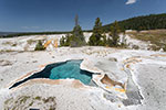 Blue Star Spring - Yellowstone 