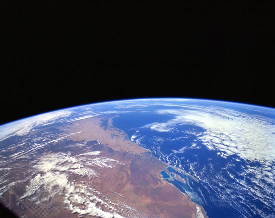 Shark Bay, Perth, Australia