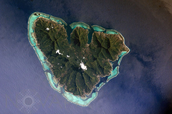 Moorea, Océan Pacifique - 2003