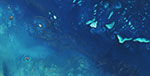 Détail de la Grande barrière de corail, Australie, vue par satellite
