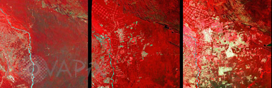 Déforestation en Bolivie