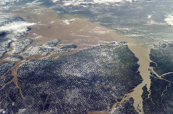 Mouths of the amazon river, Brazil.