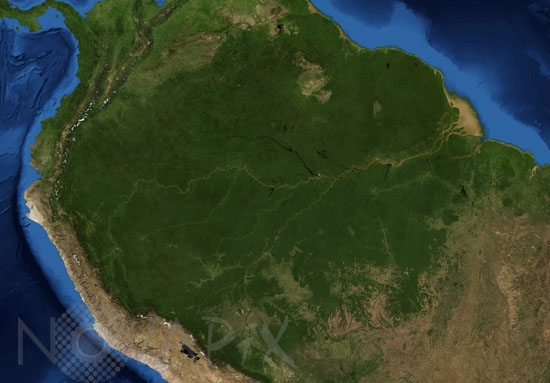 Le fleuve Amazone vu par satellite