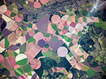 Agriculture au Brésil 