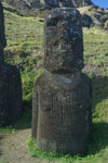 Moai de l'ile de Paques