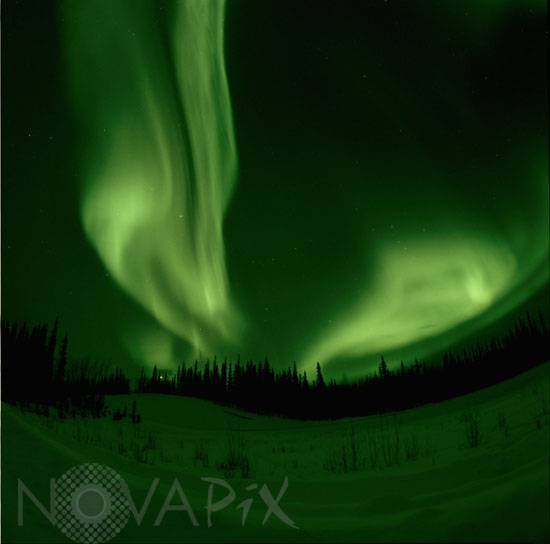 Aurora borealis in Alaska 02/2001