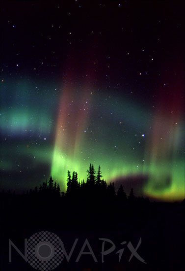 Aurore boréale observée en Alaska. 12/2001