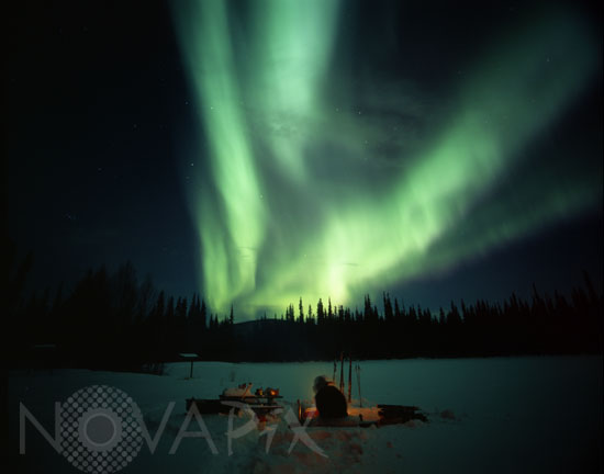Aurora borealis in Alaska. 03/2008