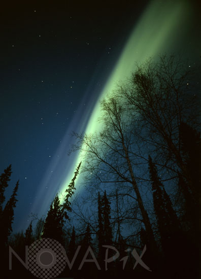 Aurora borealis in Alaska. 03/2008