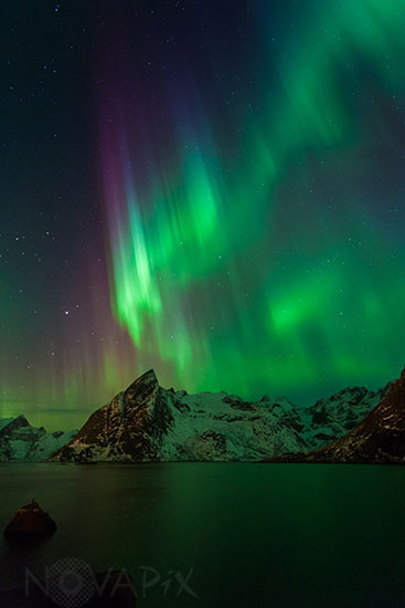 Aurore boréale - Lofoten - Norvège