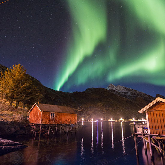 Aurore boréale - Lofoten - Norvège