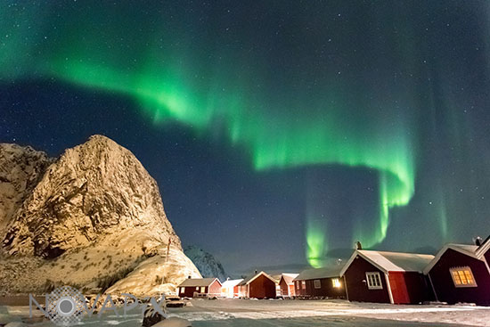 Aurore boréale - Lofoten - Norvège