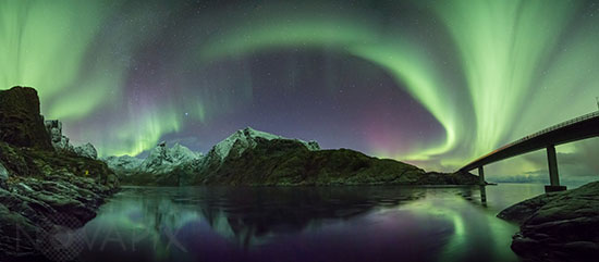 Aurore boréale - Lofoten - Norvège