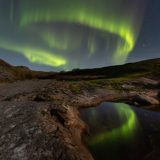 Aurore boréale - Lofoten - Norvège