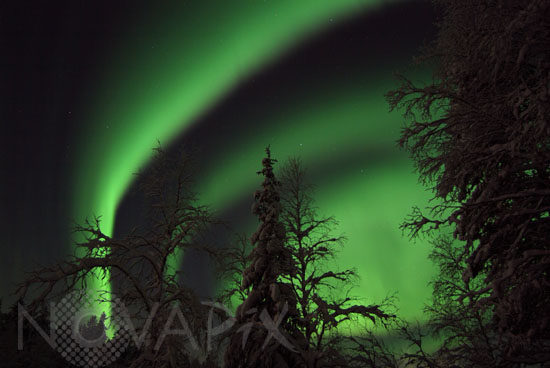 Aurore boréale -Finlande - 12/2003