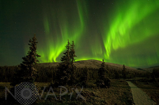 Aurora borealis in Finland 10/2008