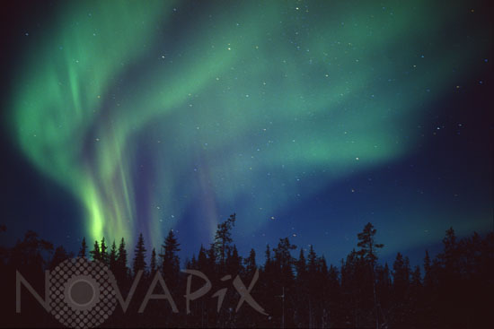 Aurore boréale -Finlande - 11/1998