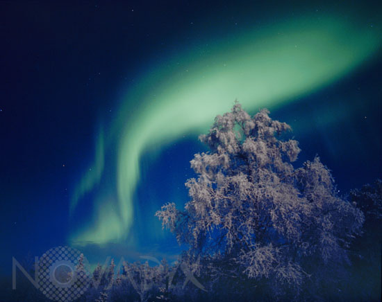 Aurore boréale -Finlande - 11/1998