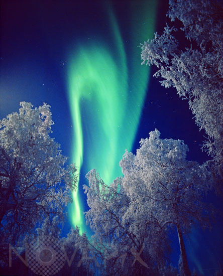 Aurore boréale -Finlande - 11/1998