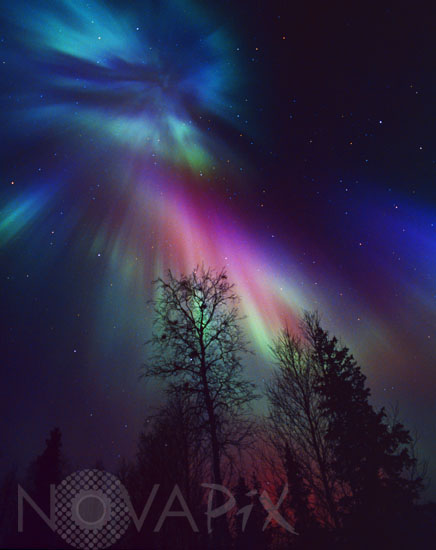 Aurora borealis in Finland 07/2003