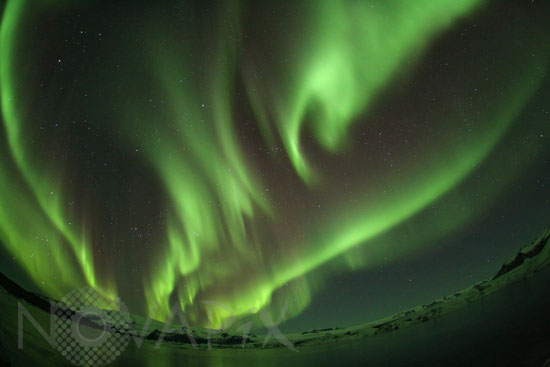 Aurora borealis in Iceland