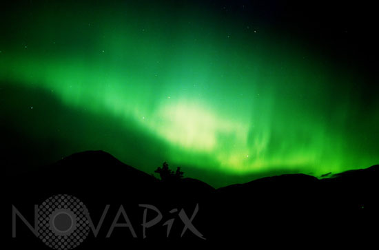 Aurore australe en Nouvelle-Zélande 2001