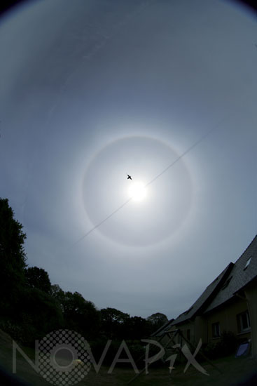 Halo autour du Soleil et trainée de condensation