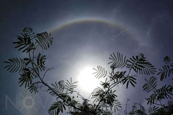Halo autour du Soleil