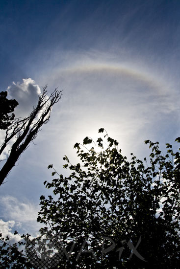 Halo autour du Soleil