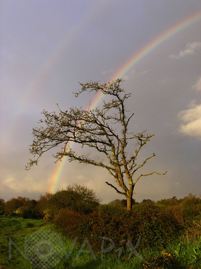 Arc-en-ciel