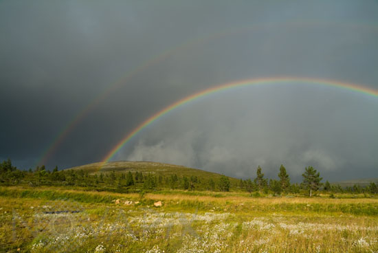 Arc-en-ciel en Laponie