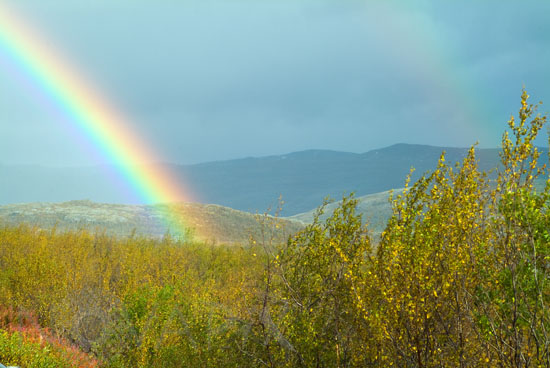 Arc-en-ciel