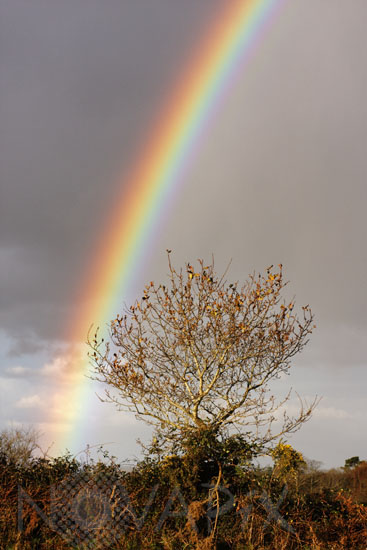 Arc-en-ciel